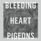 Bleeding Heart Pigeons