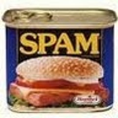 Spam16v