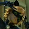 chat noir