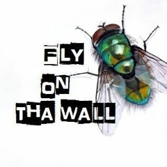 Fly On The Wall Network