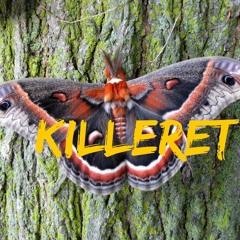 Killeret