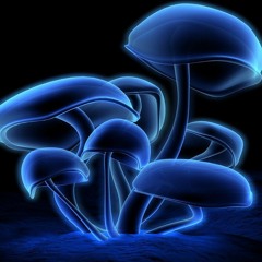 FungusLord
