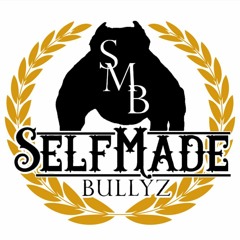 Selfmade bully