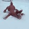Lil Rudolph