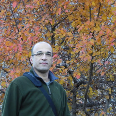 amir salamati