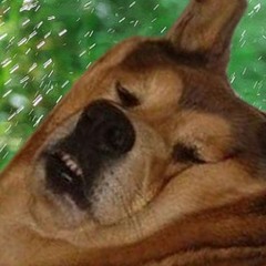 BLOBDOG