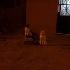victor felices huaman