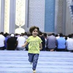 اناشيد