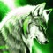 Joey The Wolf
