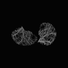 State Of Mind Records