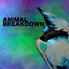 ANIMAL BREAKDOWN