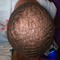 Tarell