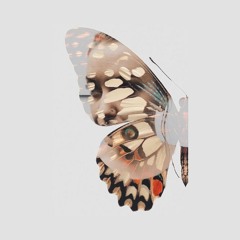 Sarah Frazier Musics