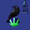 Crow