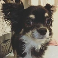 近藤綾子