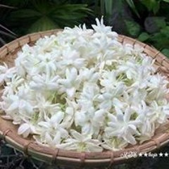 เท่ เท้