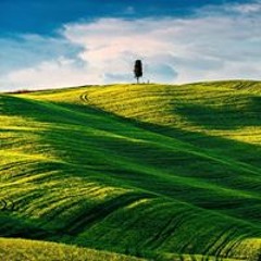 محمدخير الخليلي