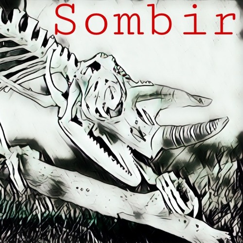 Sombir’s avatar