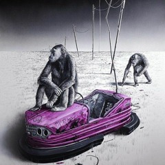 T R A P S T A F A R I