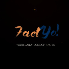 Fact Yo!