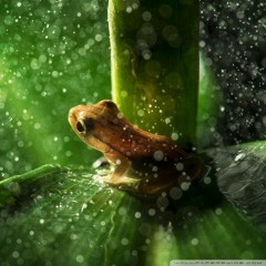 Rasmus Lundorff-Hansen