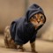 CatWithHoodie