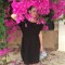 Heather _Green