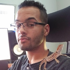 Zronyx