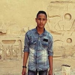 قرشى ابوحلمى حلمى