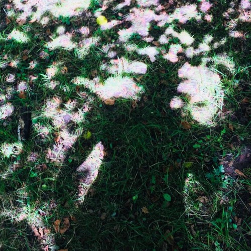 Electro Boogie Type Shit