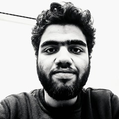 Mahmoud AlKnawy