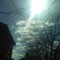 john e's Unnecessary Haiku Enterprises (Naviar)