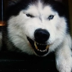 Grrrrr