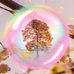 Bubbletree