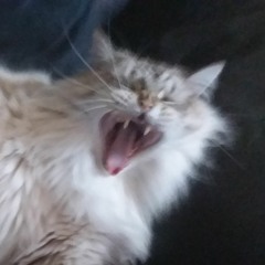 The New and Improved