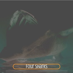 Four Sharks