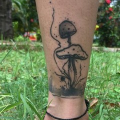 kakkattilmurshi@gmail.com