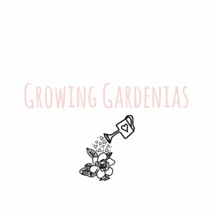 Growing Gardenias with Niara Jasmine