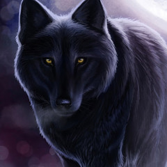 Wolf EnAiKey
