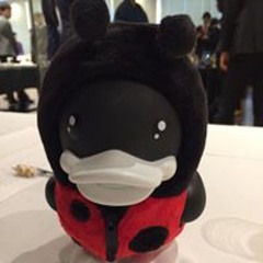 Kenta Torii