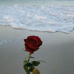 nouran