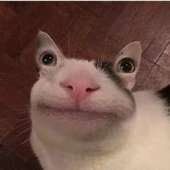 Pine ConeZ (PineConeZ)