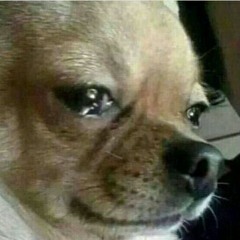 lildogmuncher