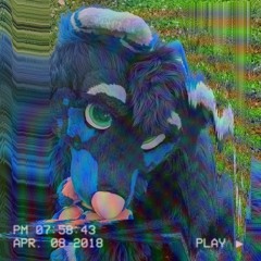 n i p n o p
