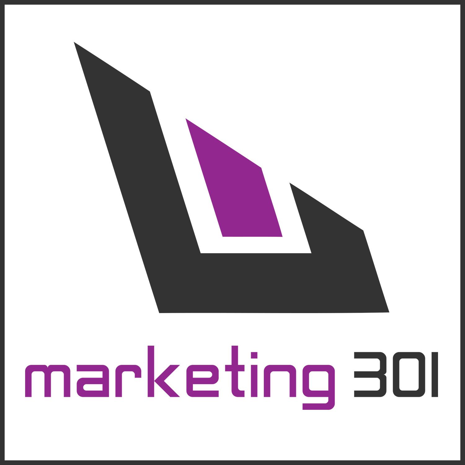Marketing301