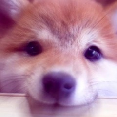 dannyy