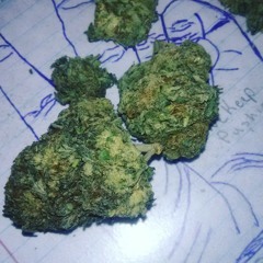 J.kush