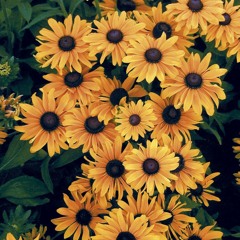 Karina Lozano Requenez