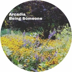 Official Arcadia Band