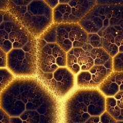 Primordial Elements